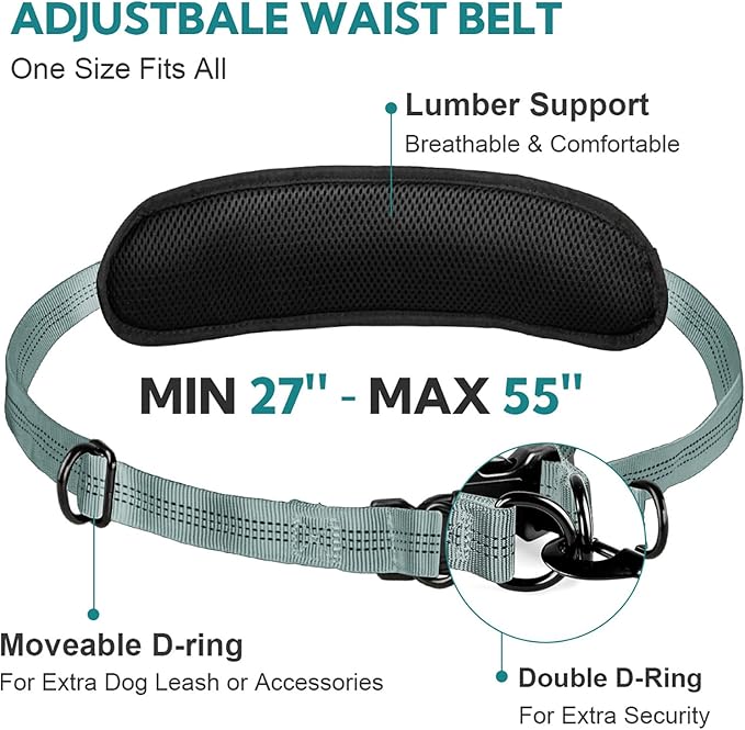 Hands Free Dog Leash with Pouch, Double Leash for Two Dogs, Retractable Bungee with Double Padded Handles, Dog Waist for Dog Walking, Running for Dogs, Dog Walking Accessories