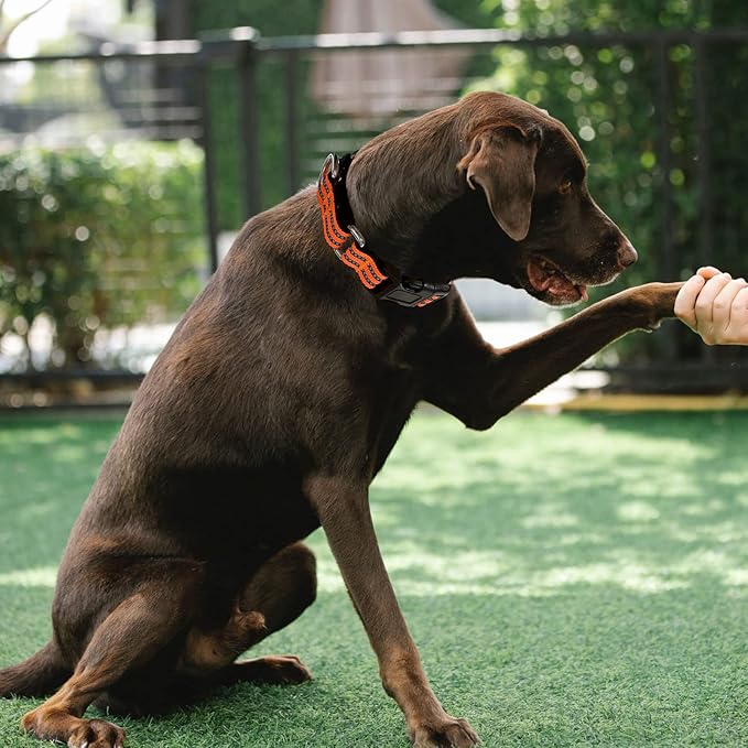 Hikiko Martingale Dog Collars Reflective Nylon Dog Collar with Quick Release Buckle Adjustable Training No Slip Dog Collar (Medium, Orange)
