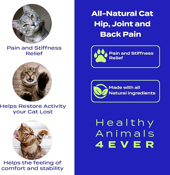 HA4E - Cat Arthritis Remedy - Supports Hip & Joint Health - Helps Minimize Pain & Restore Mobility - All-Natural, Non-GMO, Organic, Preservative & Chemical-Free - 300 Tablets