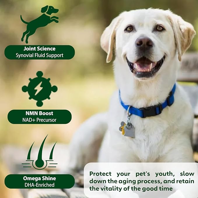 NAD Supplement for Senior Dogs - 3-in-1 Joint Supplement for Dogs, Skin & Coat Care Chews with Glucosamine, NMN, Omega-3 - Bacon Flavor, 90 Count for Arthritis & Allergy Relief (90Ct, Bacon)