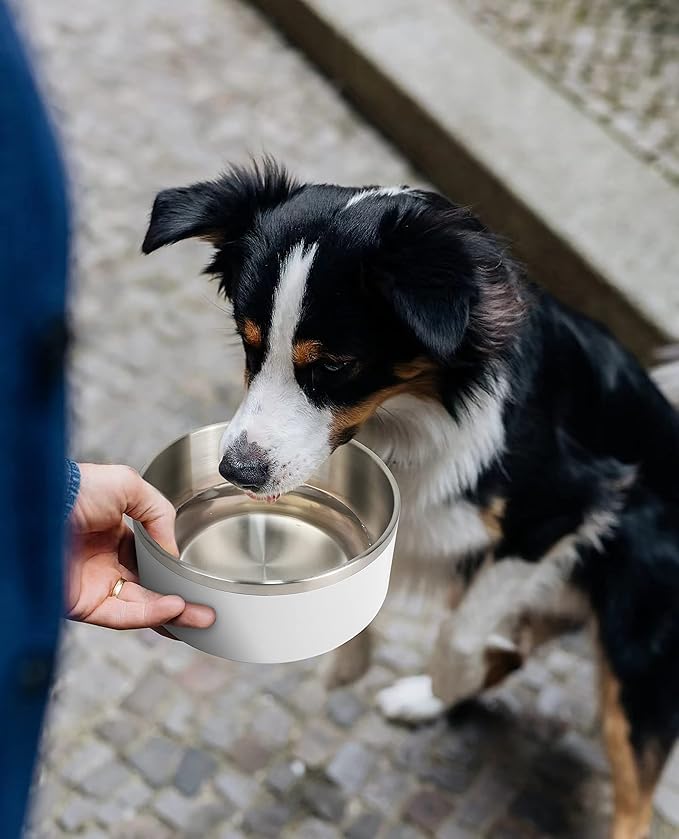IKITCHEN Dog Bowl for Food and Water, 40 Oz Stainless Steel Pet Feeding Bowl, Durable Non-Skid Double Wall Insulated Heavy Duty with Rubber Bottom for Medium Large Dogs (40 Ounces/5 Cup, White)