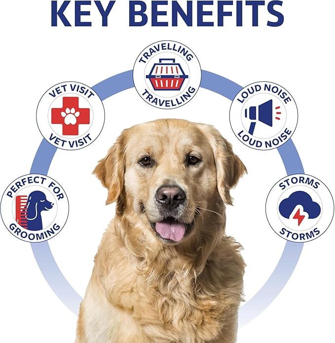 Joint Supplement for Dogs - Dog Joint Supplement with Glucosamine, Chondroitin, MSM - Supports Hip and Joint Heath, Better Mobility, Skin and Coat - for All Breeds and Ages - 120 Dog Chews, Beef