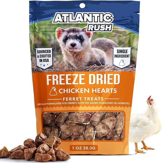 Freeze Dried Small Pet Treats - Resealable Bag of Treats for Ferrets - Ferret Snacks - Single Ingredient Ferret Food With No Preservatives Or Fillers- Small Animals Treats (1oz, chicken Heart)
