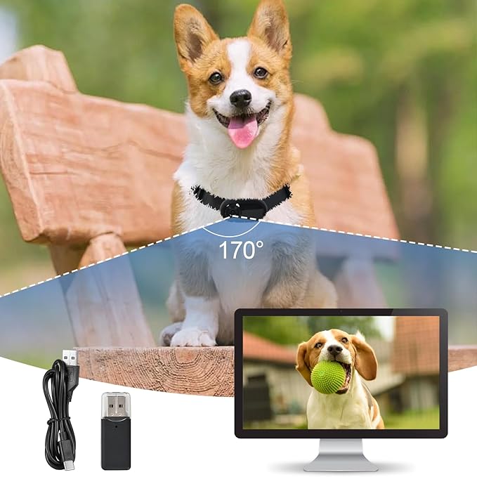 1080p HD Cat Dog Pet Camera Collar with Video Recording Sports Camera Baby Monitor No WiFi Indoor/Outdoor All Activities Pet Supplies and Monitors Gift, Birthday Gift Black