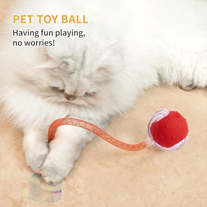 Kitty Toys & Cat Toys Interactive – Automatic Moving Cat Toy for Indoor Cats, Rolling Ball Tunnel Mat with LED Lights & Bird Chirping, Stimulating Cat Enrichment Ball Toy for Kittens & Bored Cats
