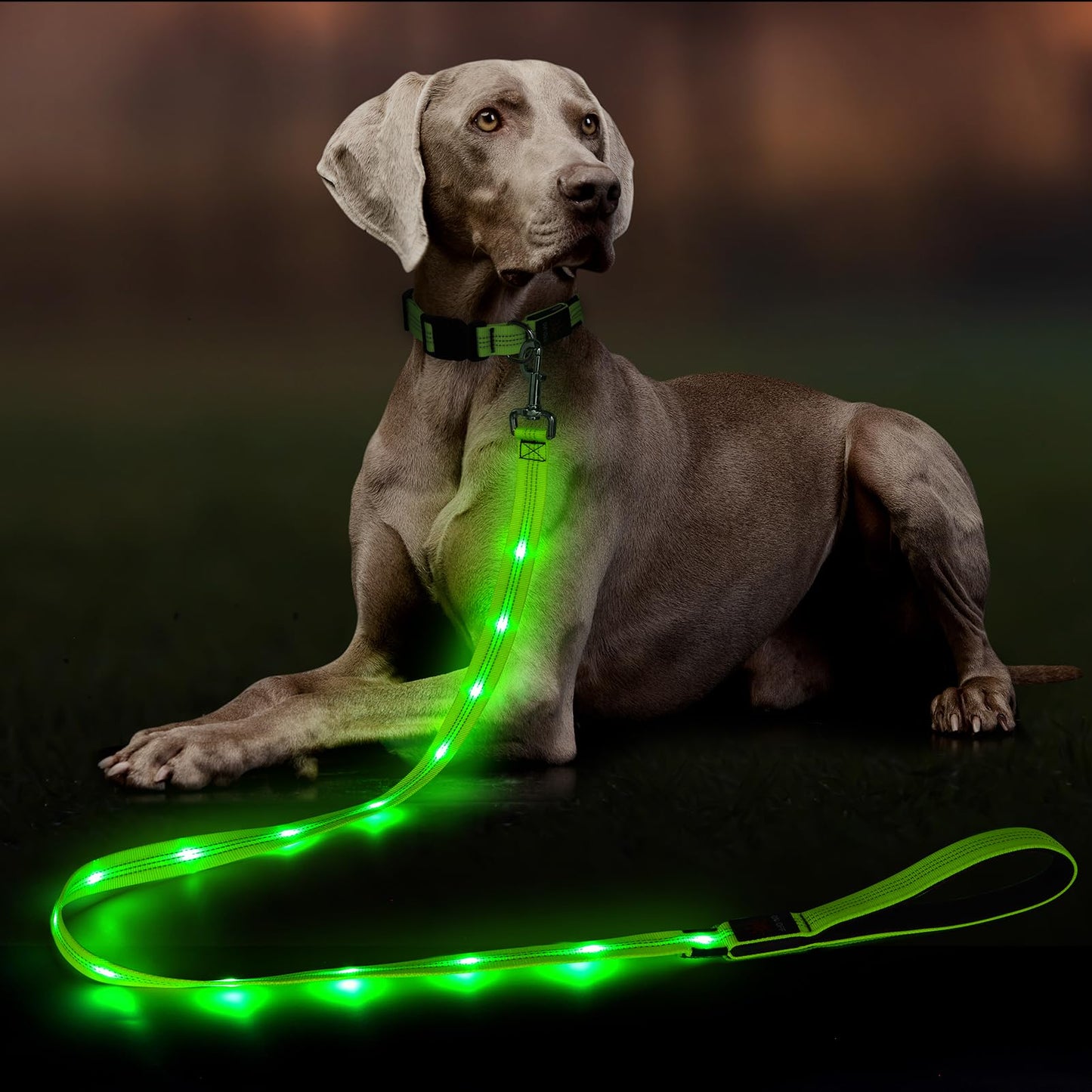 Dolitego Light Up Dog Leash, 5 Ft LED Dog Leash Rechargeable Pet Leashes Glow in The Dark Dog Lights for Night Walking (Green)