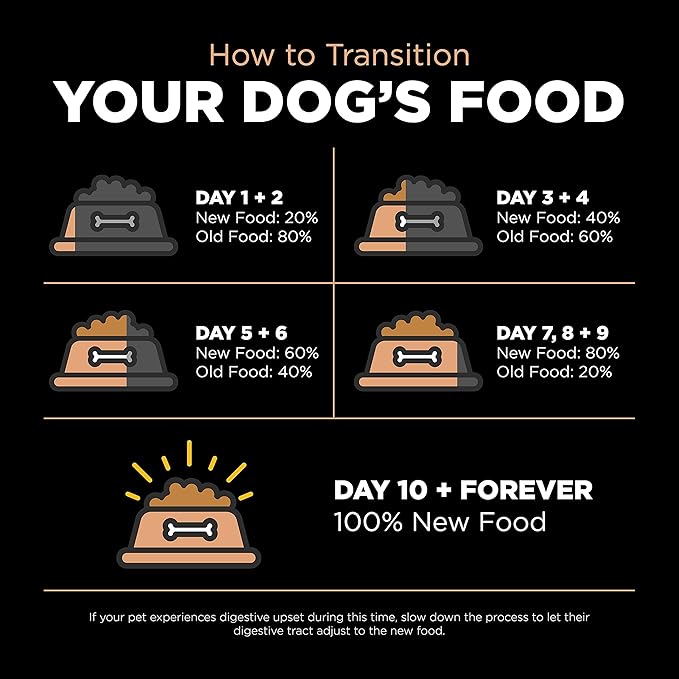 Go! Solutions Digestion + Gut Health, Dry Dog Food, Salmon Recipe with Ancient Grains, 12 lb Bag
