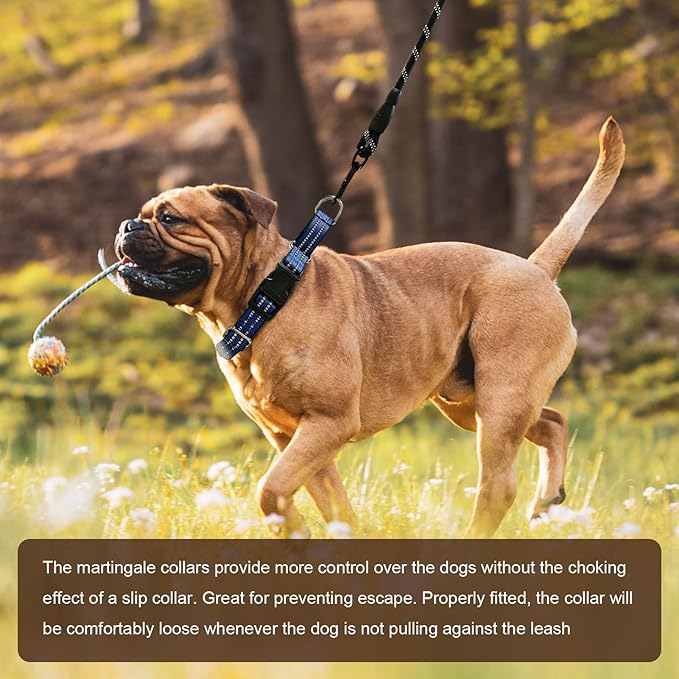 Hikiko Martingale Collar for Dogs Reflective Nylon Dog Collar with Quick Release Buckle Adjustable Training No Slip Dog Collars (Medium, Blue)