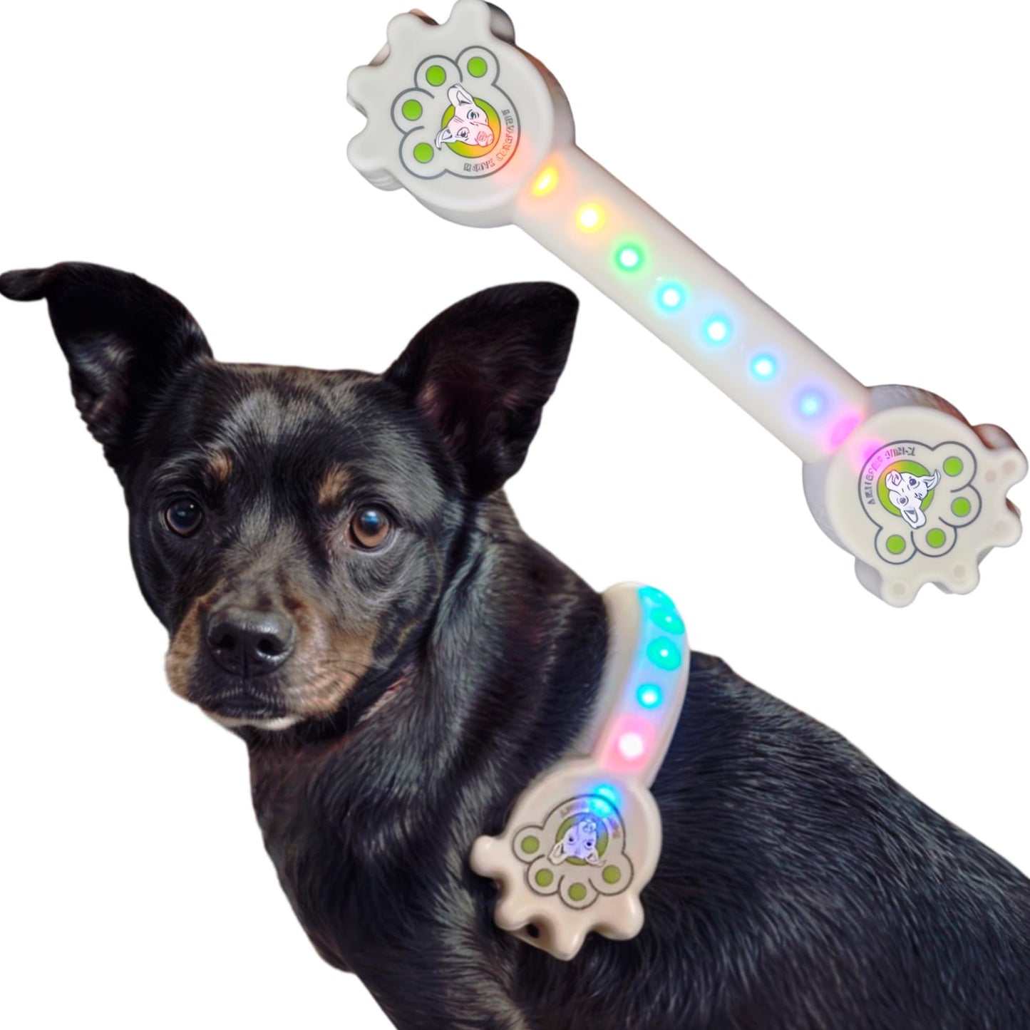 Better Than Light up Dog Collar for Small Dogs, LED Dog Collar Rechargeable, Dog Safety Device With An Unique Belt-Style Design