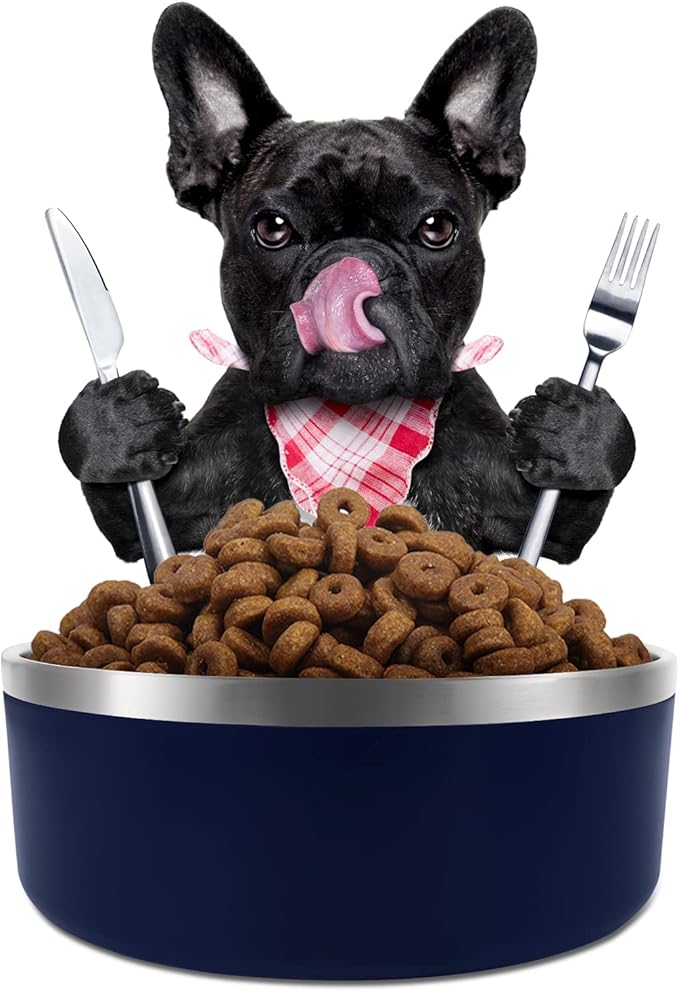 IKITCHEN Dog Bowl for Food and Water, 64 Oz Stainless Steel Pet Feeding Bowl, Durable Non-Skid Double Wall Insulated Heavy Duty with Rubber Bottom for Medium Large Sized Dogs (64 Ounces/8 Cup, Blue)