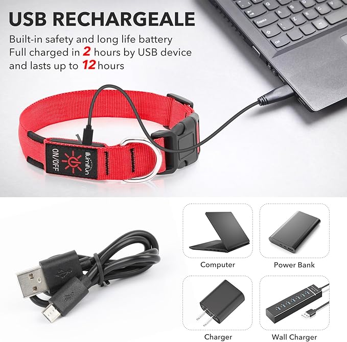 Illumifun LED Dog Collar - Adjustable Light Up Dog Collar - Safety Pet Collar Light Make Your Dogs Safe& Seen at Night (Red, Small)