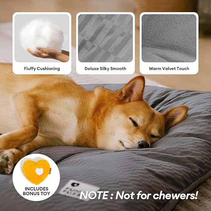 FUNNY FUZZY 24x18 Washable Dog Bed Reversible Crate Mat, 2 in1 Orthopedic Puppy Bed for Small Dogs/Cats, Fluffy Deluxe Kennel Mattress,Sleeping Pad,Charcoal Grey,S