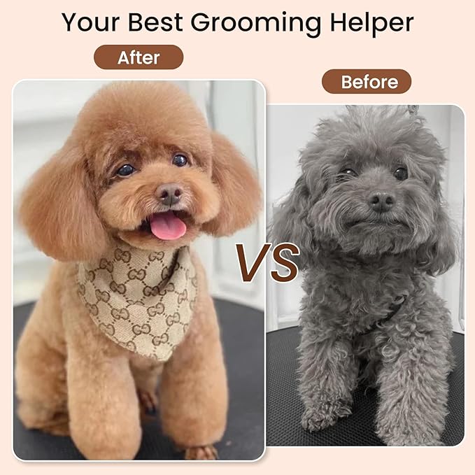 Dog Slicker Brush for Shedding,Dog Brush for Long Haired Dogs & Remove Tangles & Mats,Ergonomic Handle Grooming Like Professional,Beech Wood,S