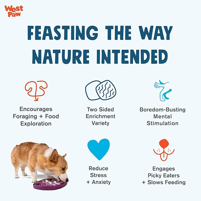 West Paw Seaflex Waves Feast Mat – All-in-One, Slow Feeder, Lick Mat – Encourages Foraging & Food Exploration - Engages Picky Eaters & Slow Feeding - Versatile – Easy to Clean, Non-Toxic - Bubblegum