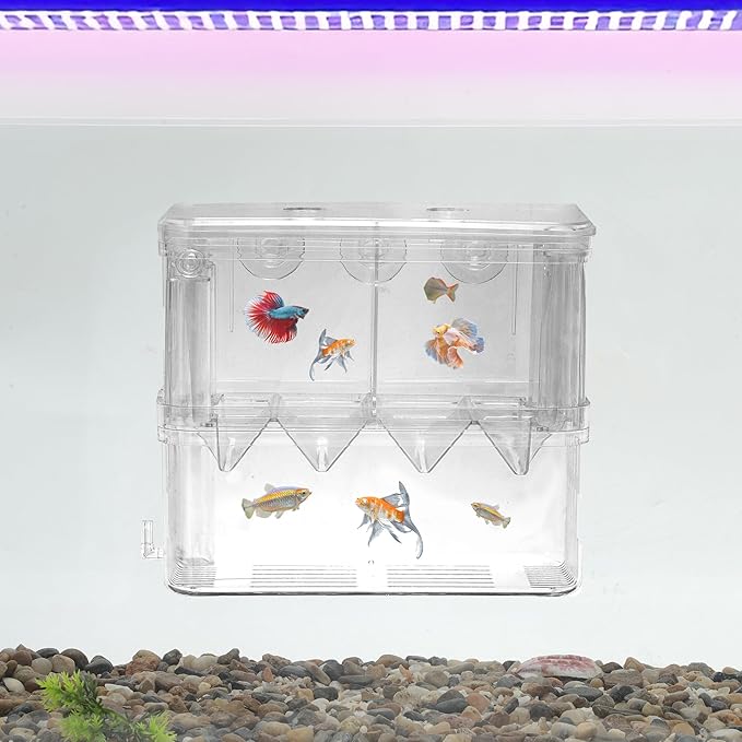 Fish Breeder Box, Easy-to-Use Breeder Tank Divider, Breeder Box for Fish Tank, Versatile Breeder System, XL, Clear, 1 Set