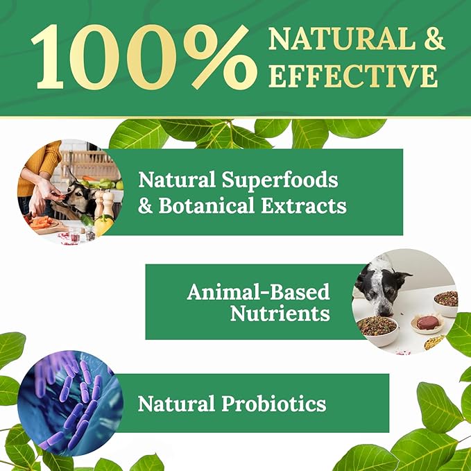 Pawbiotix Liquid probiotics for Dogs - Dog probiotics for Digestive Health | 100% Natural Dog Gut Health probiotics | probiotics for Dogs | Original Formula, Beacon Flavor, 1oz, 3 Month Supply