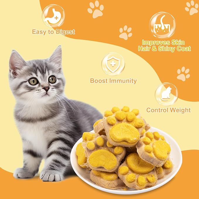Freeze Dried Cat & Dog Treats with Pumpkin - Natural Chicken, Salmon, Beef Liver & Fish Oil for Digestion Gut Health (14 pcs)