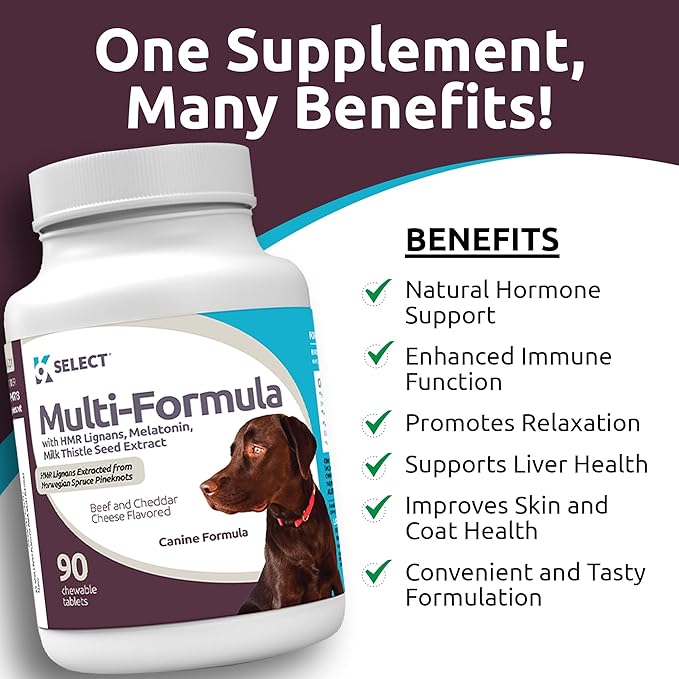 K9 Select Multi-Formula Dog Vitamins for Large Dogs - 30mg HMR Lignans, 3mg Melatonin, 60mg Milk Thistle - Helps Heart, Liver, Digestion, Skin & Coat Health, Dog Multivitamin, 90 Tablets, Beef Flavor
