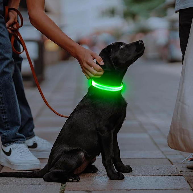 Illumifun Light Up Dog Collar, USB Rechargeable LED Dog Collar Glow in The Dark，Adjustable Pet Safety Lights for Night Walking (Green, Medium)