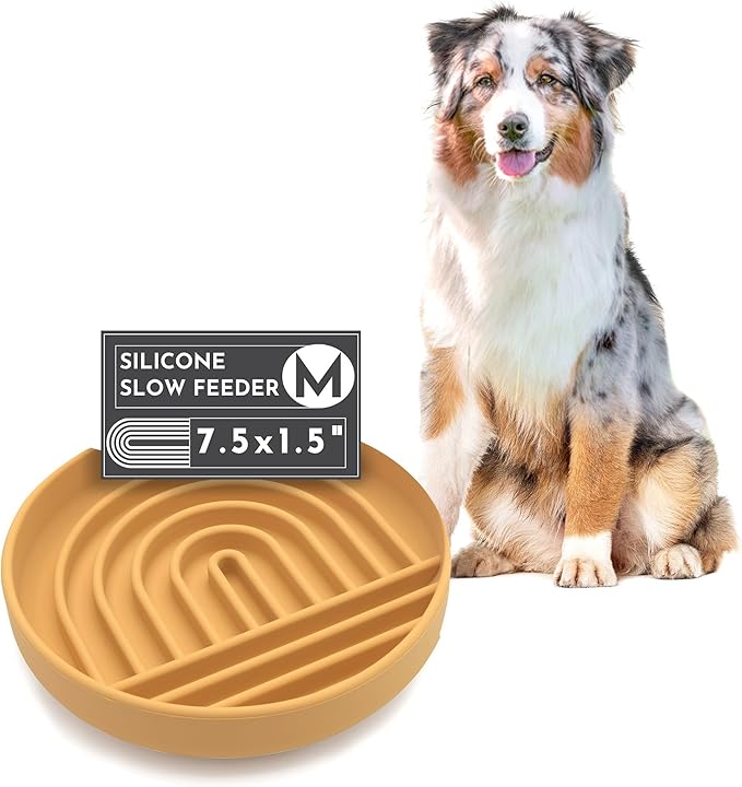 The Slowdown Bowl Silicone Slow Feeder for Dogs & Puppies, Slow Eating, Modern Lick Mat Design, Reduces Gulping, Fits 2 Cups 7.5” Across x 1.5” Tall, Mealtime Challenge, Medium-Honey