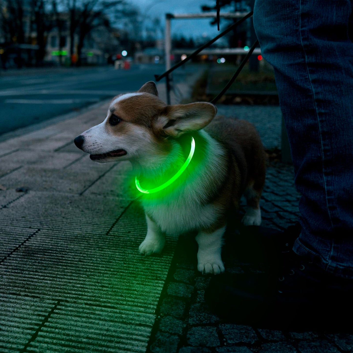 Flashseen LED Dog Collar, USB Rechargeable Glowing Lighted Up Collar, Cuttable Water-Resistant TPU Safety Collar Lights for Small Medium Large Dogs