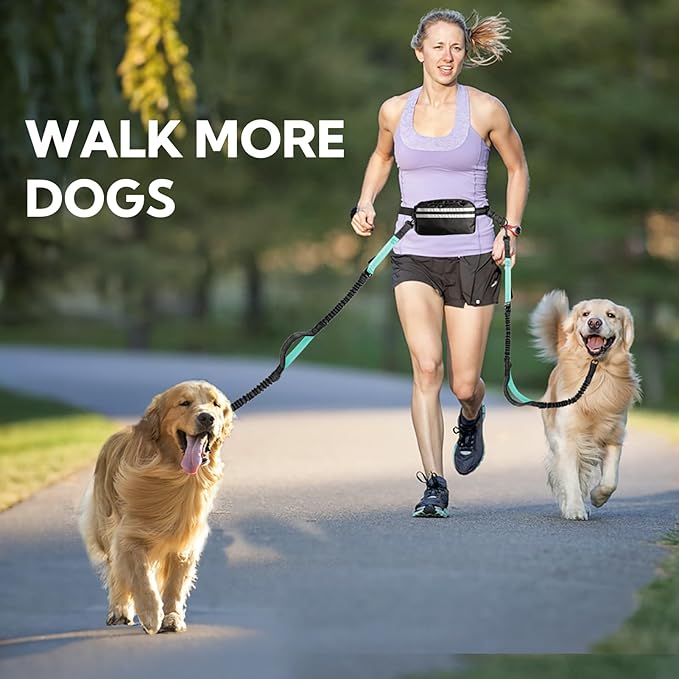 Hands Free Dog Leash with Pouch, Double Leash for Two Dogs, Retractable Bungee with Double Padded Handles, Waist for Dog Walking, Running for Dogs, Dog Walking Accessories