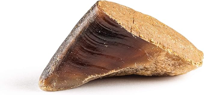 Jack&Pup Filled Cow Hooves for Dogs, Cow Hoofs for Dogs, Natural Dog Chews, Stuffed Bones (Bacon and Cheese Flavor) 5 Pack