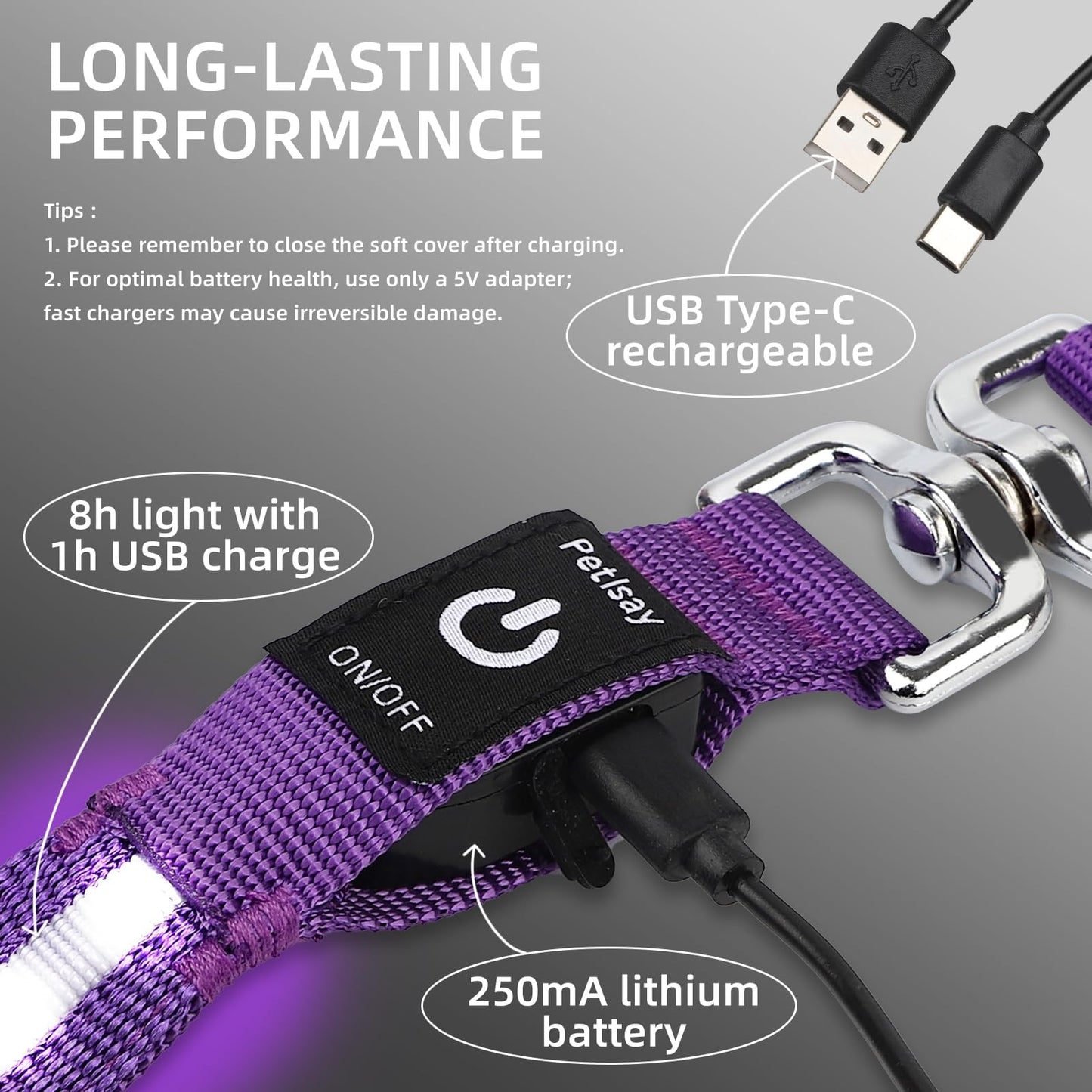 PetIsay Light up Dog Leash for Night Walking - USB-C Rechargeable, Waterproof - 6FT(Green)