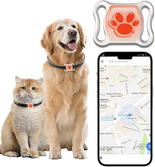 GPS Tracker for Dogs & Cats - No Monthly Fee, Waterproof Real-Time Tracking Collar for Pets,Kids,Luggage & Assets | 365-Day Battery Life | iOS & Android Compatible | Anti-Lost Device