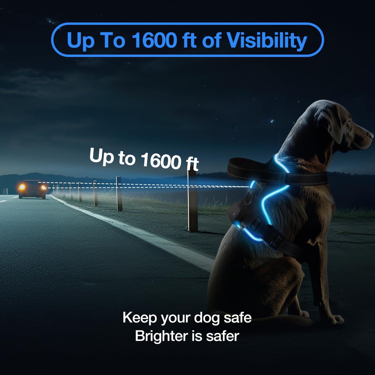 MASBRILL Light Up Dog Harness - No Pull Led Dog Harness Rechargeable Adjustable Lighted Dog Vest Harness for Small Medium Large Dogs