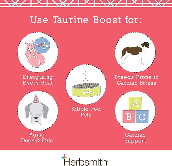 Herbsmith Taurine Boost - Cardiac and Heart Support for Dogs and Cats - Taurine Supplement for Dog and Cat Heart Health – with CoQ10, Taurine and L-Carnitine for Dogs - 75g