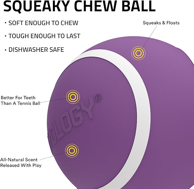 Playology Dog Toys | Squeaky Chew Ball - Squeaky and Bouncy Durable Floating Fetch Ball for Dogs | Medium Bacon Scented Toy - Easy to Clean and Made from Non Toxic Materials