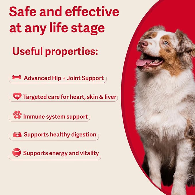 Hip & Joint Supplement for Dogs – Advanced Mobility Support with Glucosamine, Chondroitin, MSM, Turmeric & Green Lipped Mussel – 120 Soft Chews for Large, Medium & Small Dogs – Beef Flavor