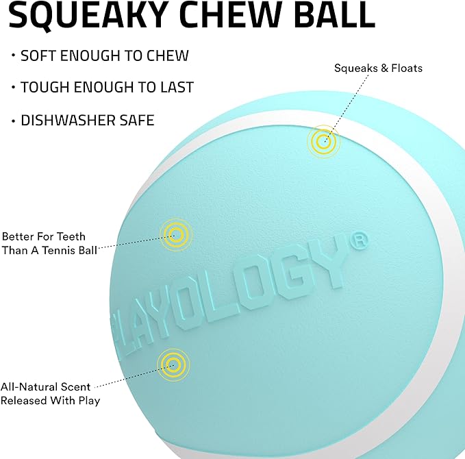 Playology Squeaky Dog Toy | Durable Rubber Interactive Dog Ball | Peanut Butter Scented Fetch Ball for Medium Dogs | Floating Dog Toy Made from Non Toxic Materials