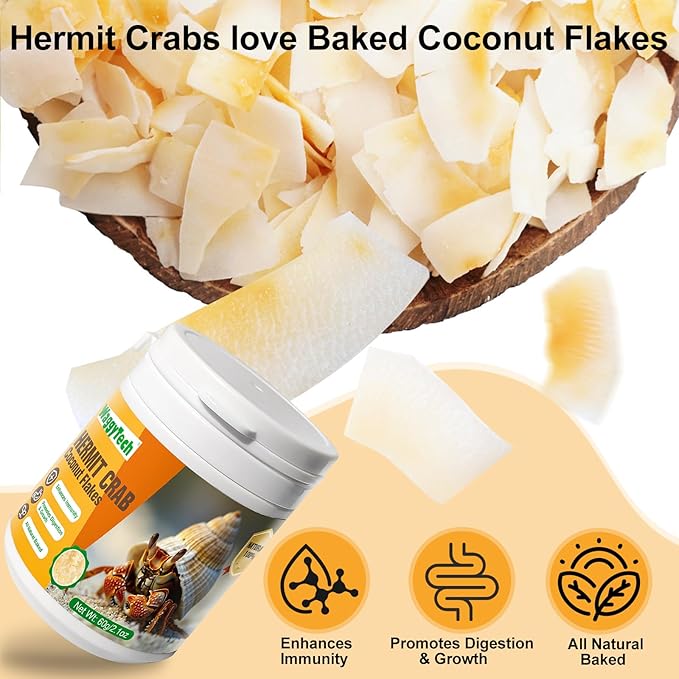 Hermit Crab Food - Baked Coconut Treat, Natural Dried Coconut for Crab Healthy & Additive Free, Easily Digestible Hermit Food Hermit - Ideal Crab Pet Snacks, Crab Accessories Crispy & Delicious | 60g