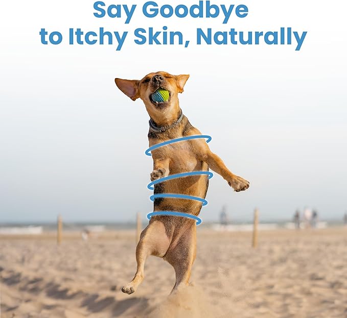 Medicated Dog Shampoo | Liquid Shampoo for Dogs | Neem& Niaouli