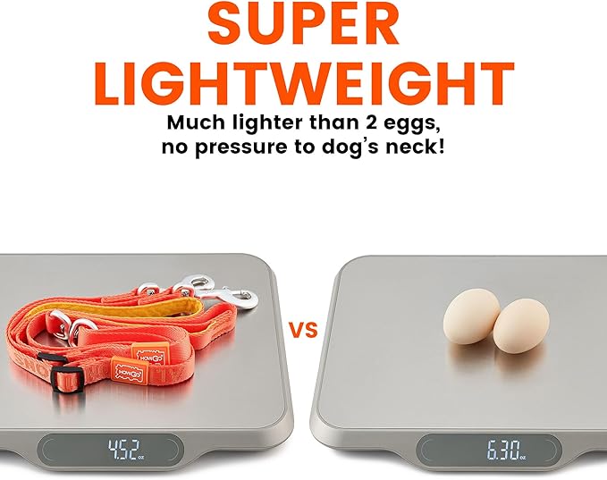 HOWGO Double Dog Leash, No Tangle 360° Swivel, Adjustable Two Padded Handles, Double Clip Dog Leash Coupler Splitter for Small and Medium Breeds (Mint Green, 2/3'' x 4.8 FT)