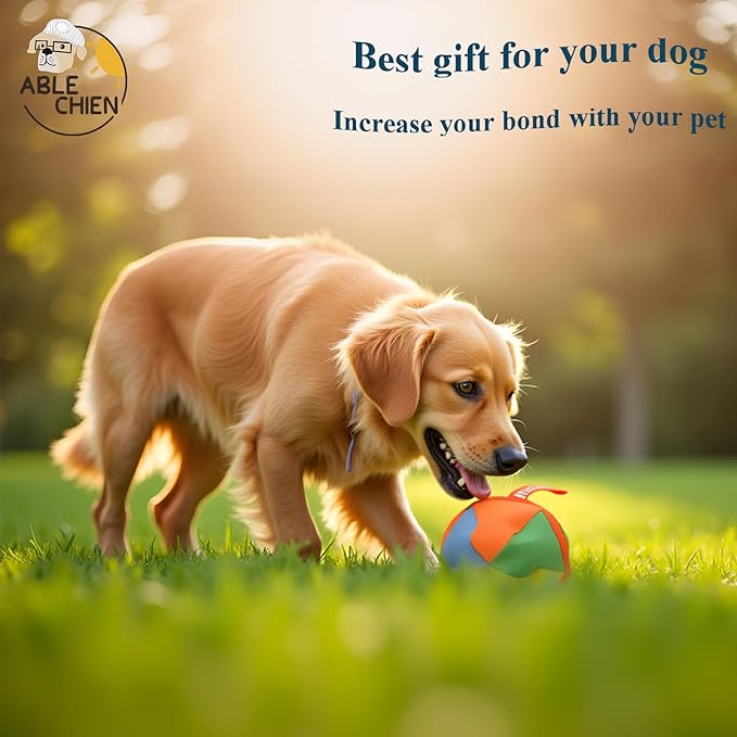 Dog Chase & Treat Ball, Snuffle Ball for Dogs, Interactive Dog Toy for All Breeds Size with Storage Bag, Enrichment Toys for Mental Stimulation