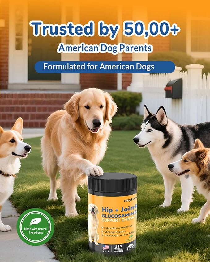 Glucosamine for Dogs - 260Ct Hip and Joint Supplement Chews, Chondroitin Joint Supplement for Dog, USA Lab Formula with Probiotics, Natural Support for Dogs