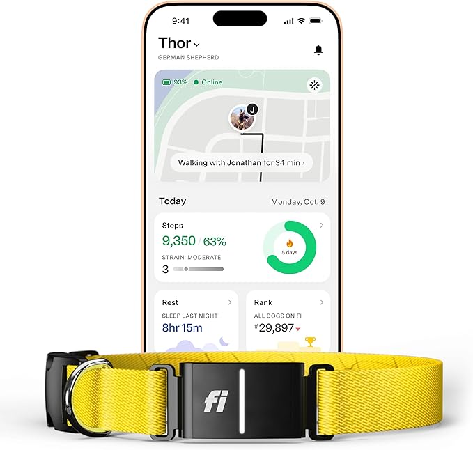 Fi Series 3+ Smart Dog Collar - GPS Dog Tracker and Activity & Fitness Monitor, Waterproof, LED Light, Escape Alerts, Nationwide Coverage [Free 6 Month Membership] (Yellow, Medium)