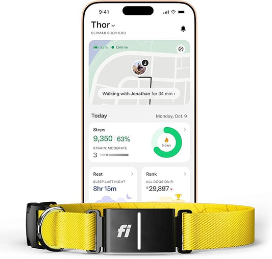 Fi Series 3+ Smart Dog Collar - GPS Dog Tracker and Activity & Fitness Monitor, Waterproof, LED Light, Escape Alerts, Nationwide Coverage [Free 6 Month Membership] (Yellow, Medium)