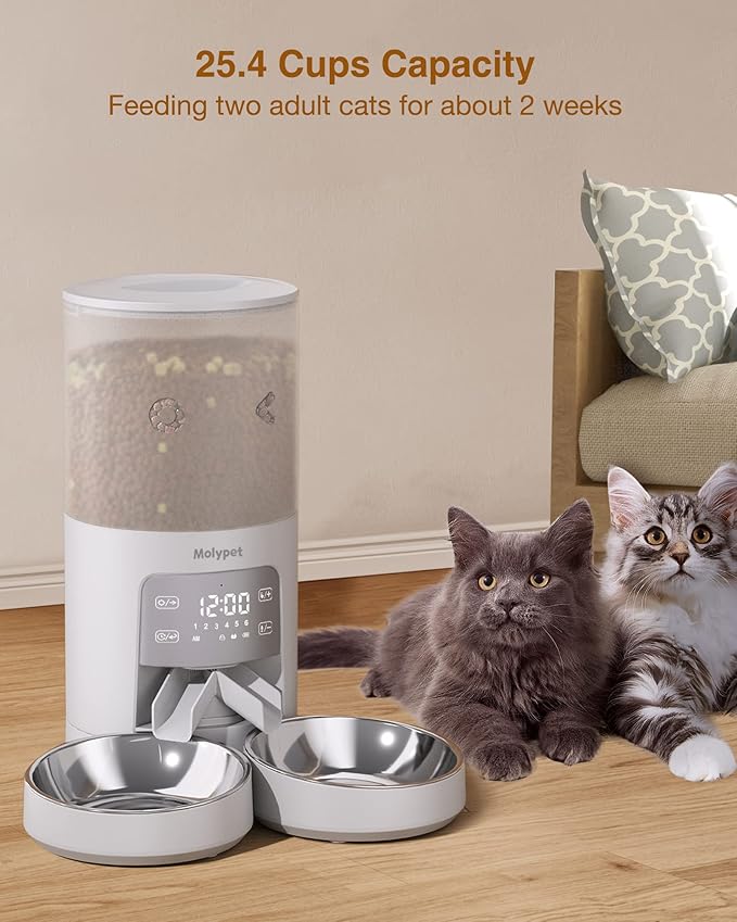 Automatic Cat Feeder for 2 Cats - Cat Food Dispenser with Double Bowls 6L, 10S Voice Recorder Programmable Timed Cat Feeder up to 6 Meals per Day