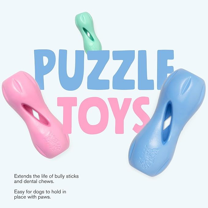 WEST PAW Zogoflex Qwizl Dog Puzzle Treat Toy – Interactive Chewing for Dogs – Dispenses Pet Treats – Brightly-Colored Dog Enrichment Toy for Aggressive Chewers, Fetch, Catch, Large 6.5", Mint