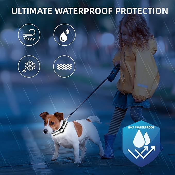 Super Bright LED Dog Collar - Fully Waterproof & Adjustable Glow Collar - USB-C Rechargeable for Night Walking, Safety - Flashing Lighted Collar for Dogs(White,L)