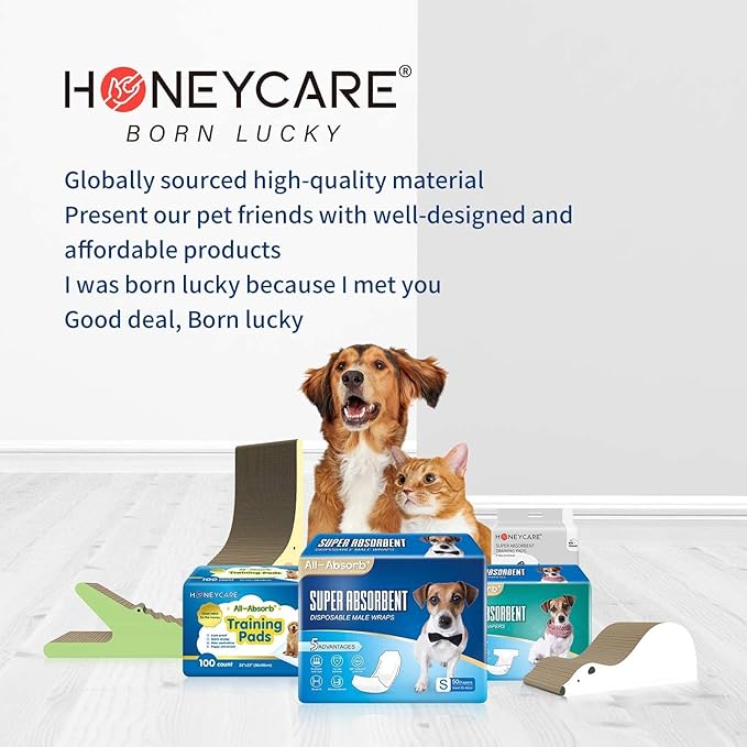 HONEY CARE All-Absorb Puppy Training Pads | Doggie Potty Pads Absorb Eliminating Urine Odor, Ultra Charcoal Dog Pee Pad (Carbon, L 22x23 inch, 100ct)