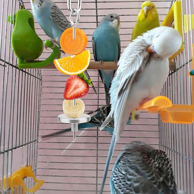Hypeety Bird Fruit Vegetable Holder Stainless Steel Vegetable Skewer Hanging Feed Tool for Parrot Budgies Parakeet Cockatiels Conure Lovebirds Finch Hamster Rat Gerbil (4.7inch,12cm)