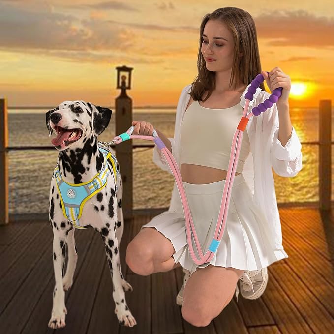 JSXD Dog Leash,5 FT Heavy Duty Dog Training Leash,Double Handle Comfortable Padded Hands Free Dog Leash,Adjustable Crossbody Waist Leash for Small Medium Large Dogs(Pink)