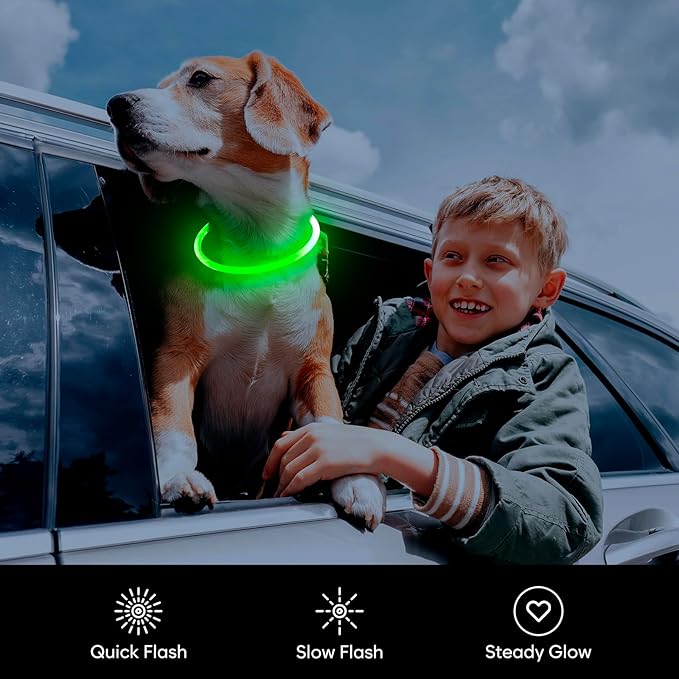 Flashseen LED Dog Collar, USB Rechargeable Glowing Lighted Up Collar, Cuttable Water-Resistant TPU Safety Collar Lights for Small Medium Large Dogs