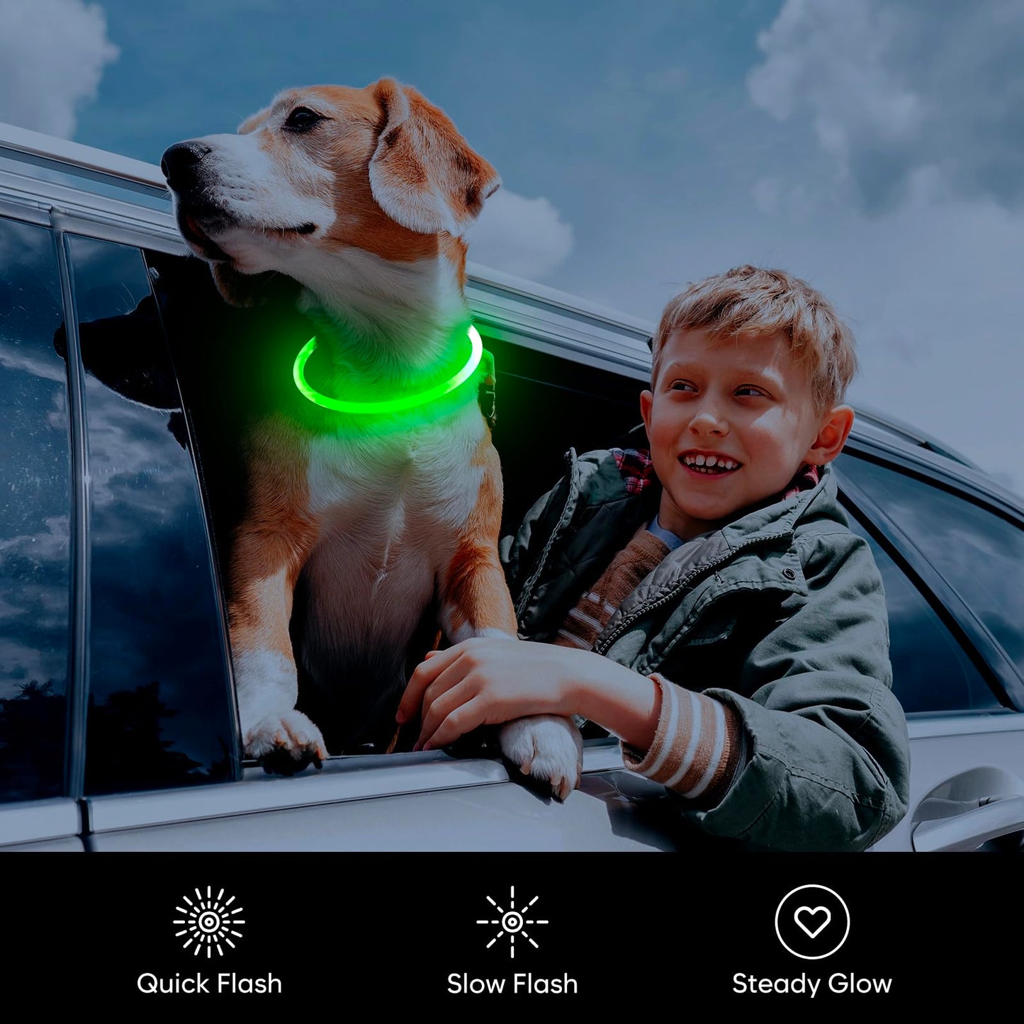 Flashseen LED Dog Collar, USB Rechargeable Glowing Lighted Up Collar, Cuttable Water-Resistant TPU Safety Collar Lights for Small Medium Large Dogs