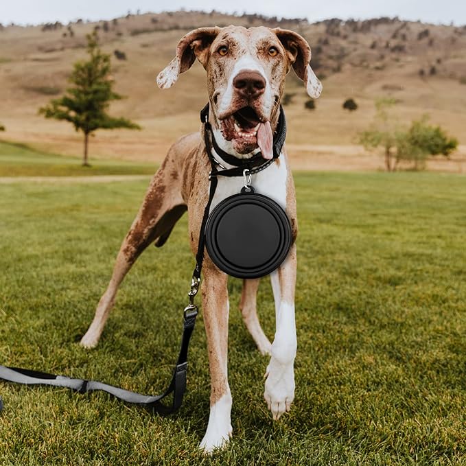 Collapsible Dog Bowl, Lightweight and Portable, Ideal for Travel, Hiking, Camping, and Everyday Use